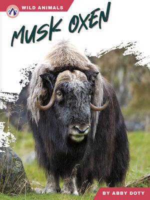 cover image of Musk Oxen
